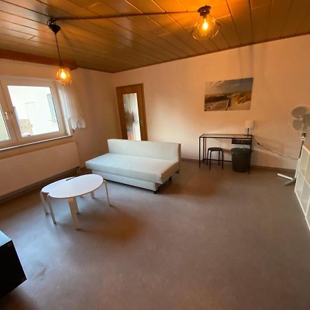 Ferienwohnung Suhad 莱茵河畔路德维希港 外观 照片